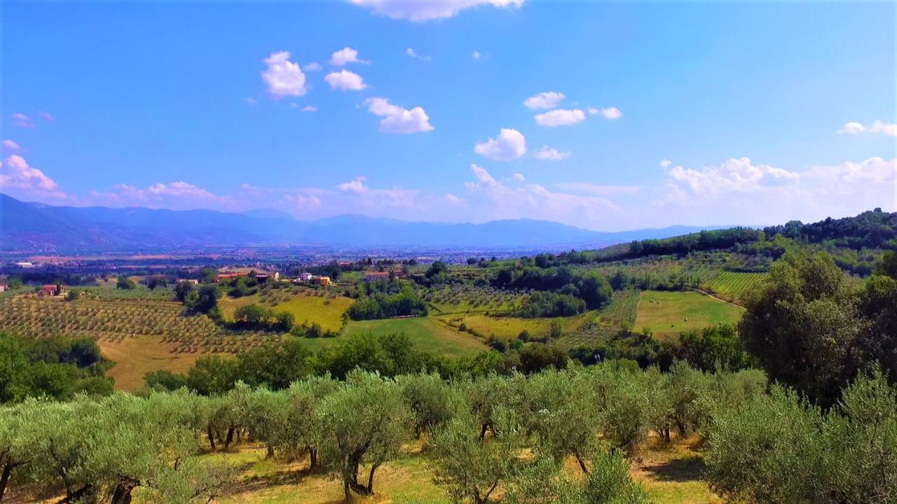Agriturismo Camiano Piccolo Montefalco Zewnętrze zdjęcie