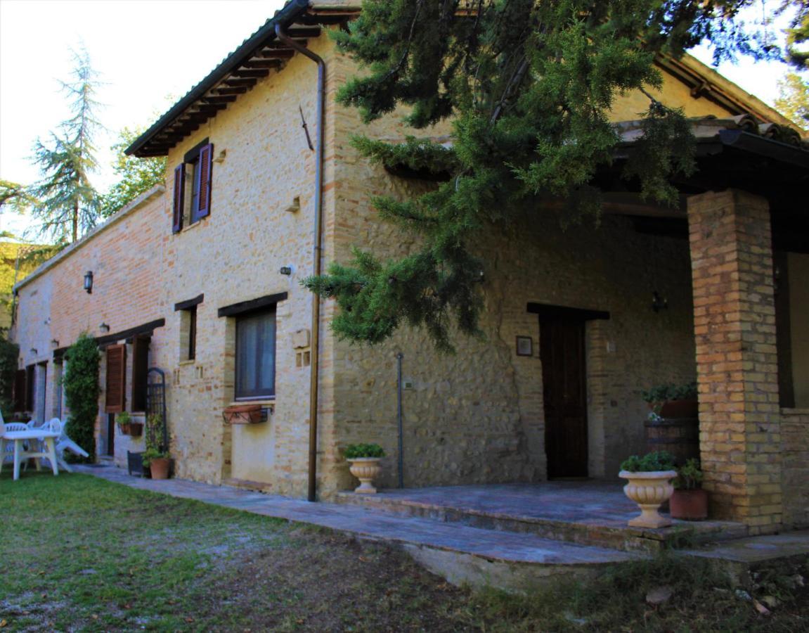 Agriturismo Camiano Piccolo Montefalco Zewnętrze zdjęcie