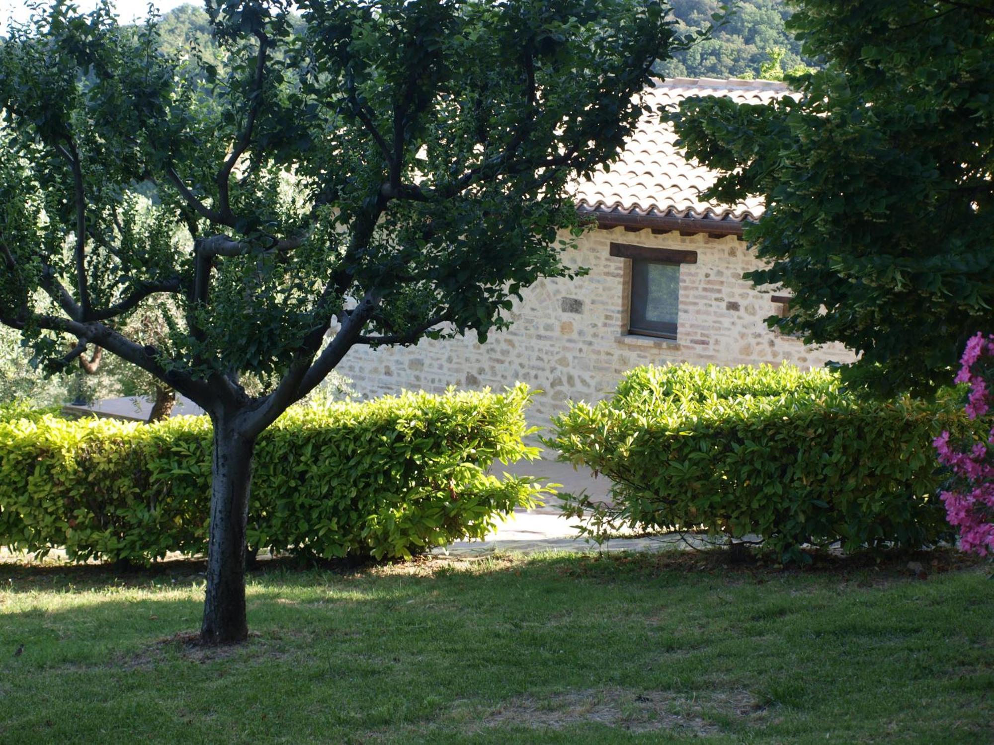 Agriturismo Camiano Piccolo Montefalco Zewnętrze zdjęcie